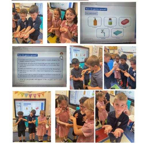 Our Learning: WC 12/05/25