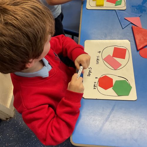Shape Sorting