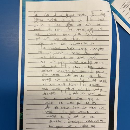 Writing and Publishing a Narrative